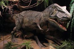 Americký vědec jde za mříže, propašoval tyranosaura do USA