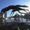 Plavci zahajují plavecký závod na 10 km na OH 2020.