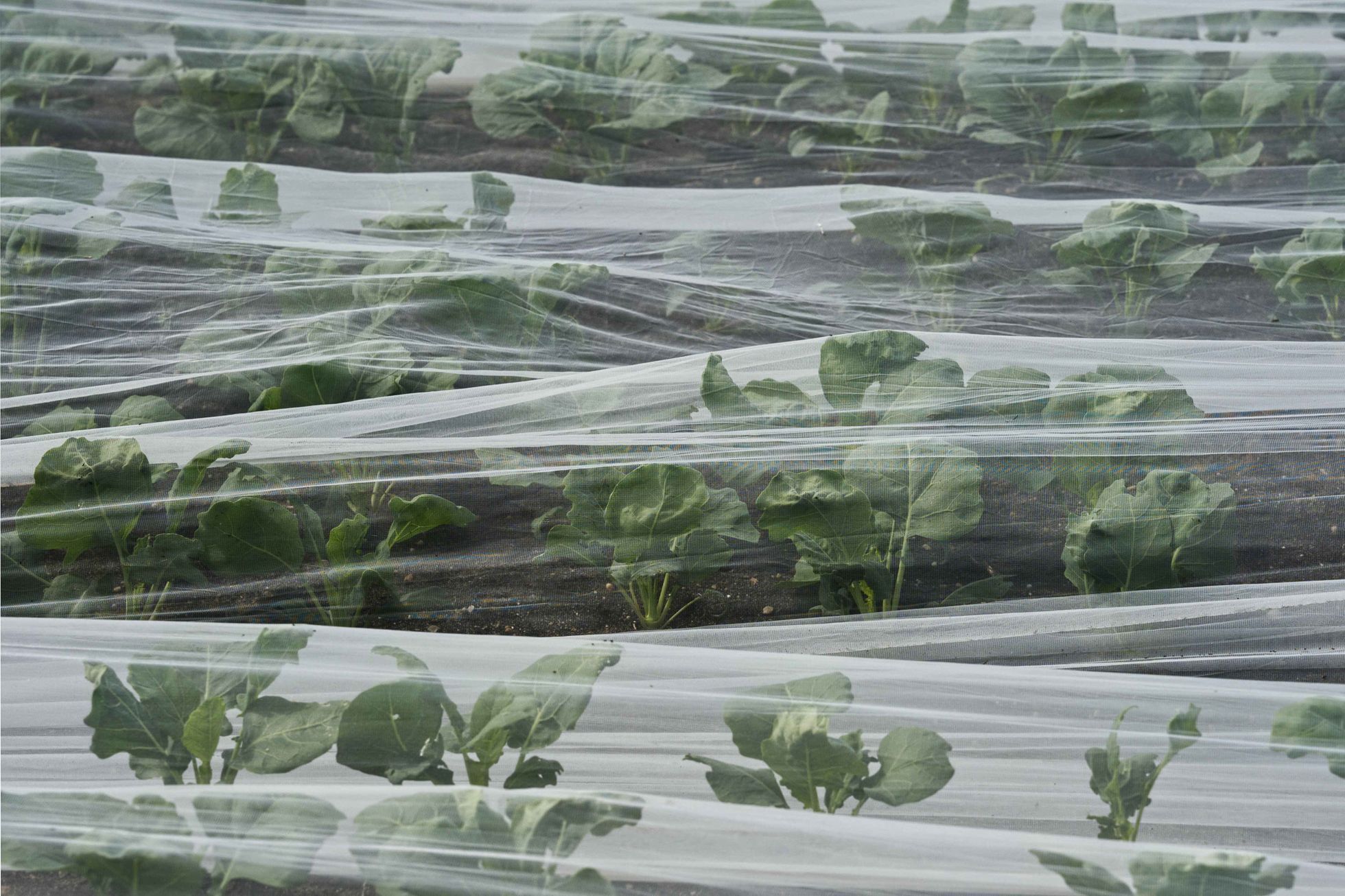 Přehled nominací Czech Press Photo 2024