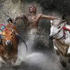 Fotogalerie: World Press Photo 2013