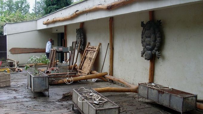 Ilustrační foto.