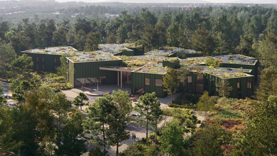 Lesy v lese a totální kontakt s přírodou. Tohle bude největší dřevěná stavba v zemi