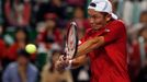 Japan's Ito returns a shot to Czech Republic's Stepanek during their Davis Cup quarter-final tennis match in Tokyo