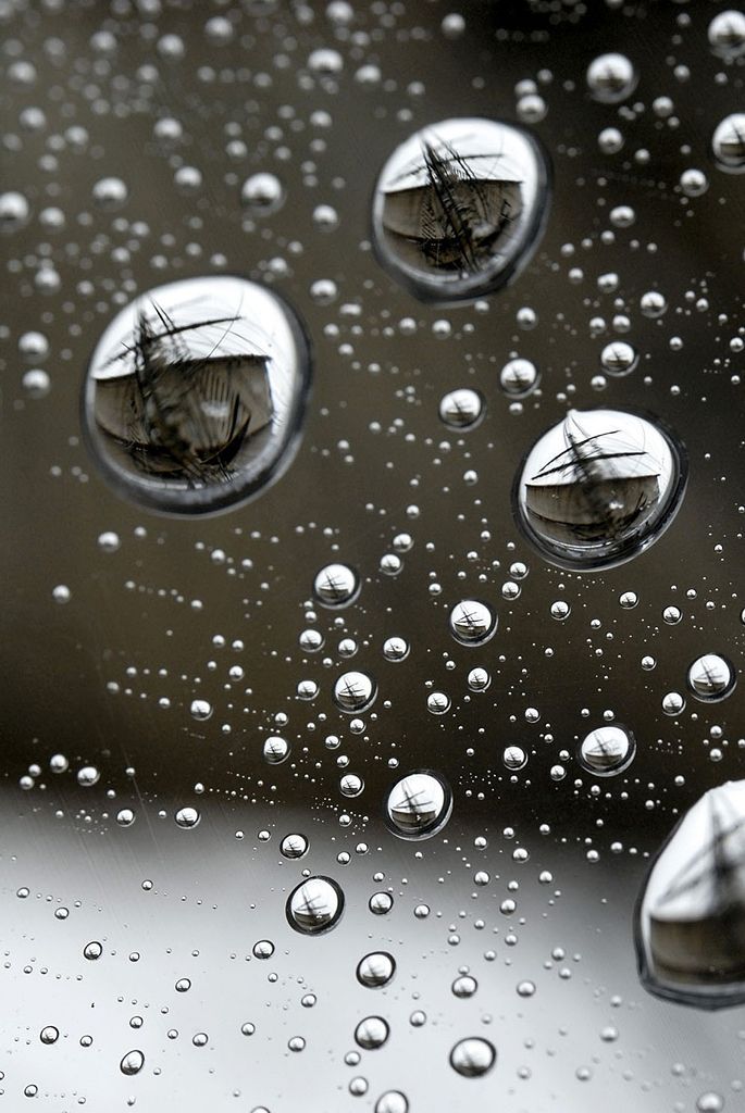 4/12| Fotogalerie: Krásné odrazy reality skrze vodní kapky