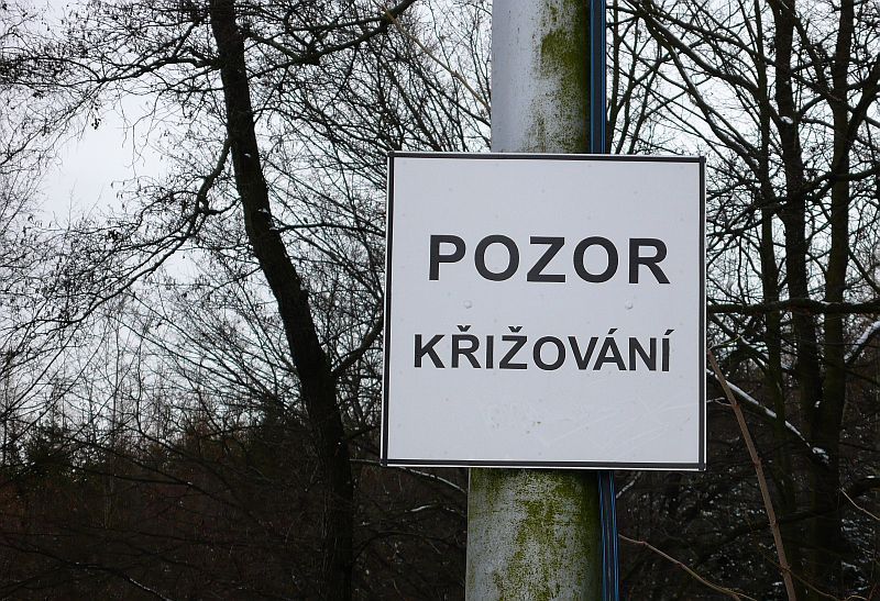 Linka číslo 5 v Ostravě