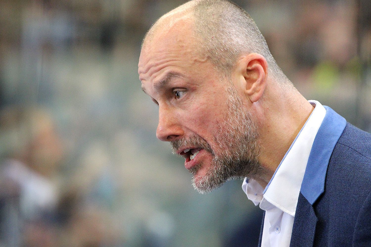 TELH 17/18: Kometa vs. Plzeň