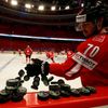 Hokej, MS 2013, Česko - Švýcarsko: Denis Hollenstein