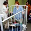 Stěhování motolské nemocnice. Pacienti se dnes stěhují zpět na dětské oddělení
