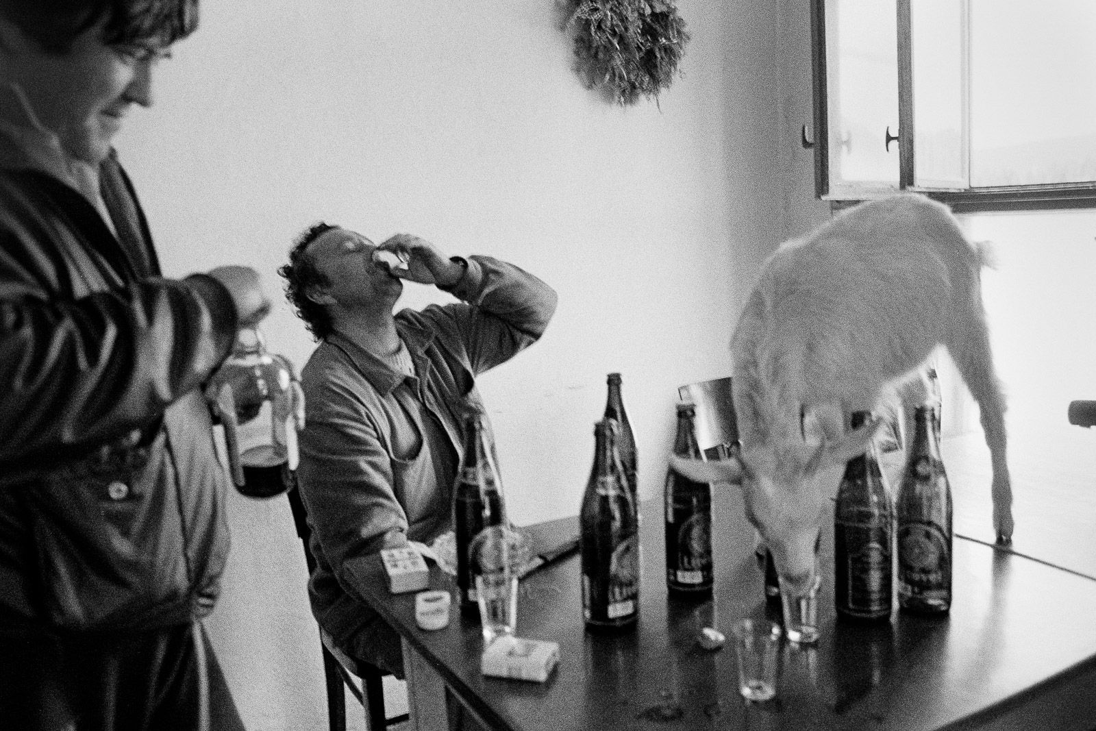 Dan Šperl - Všednosti (ukázky ze stejnojmenné výstavy fotografií)