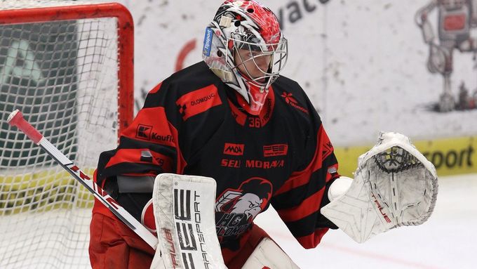 Jakub Sedláček v dresu extraligové Olomouce v sezoně 2024/25