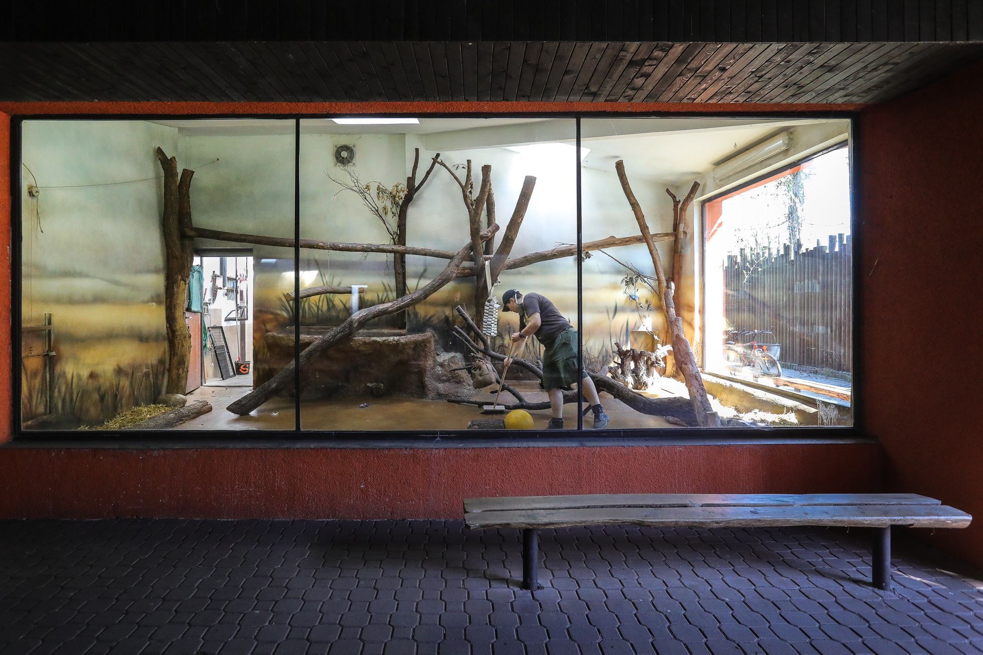 Uzavřená Zoo Dvůr Králové kvůli nouzovému stavu
