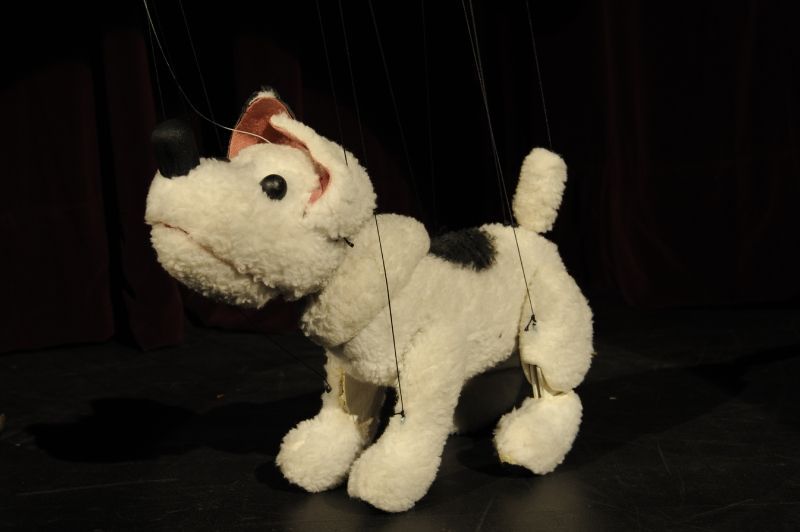 Spejbl a Hurvínek - Žeryk