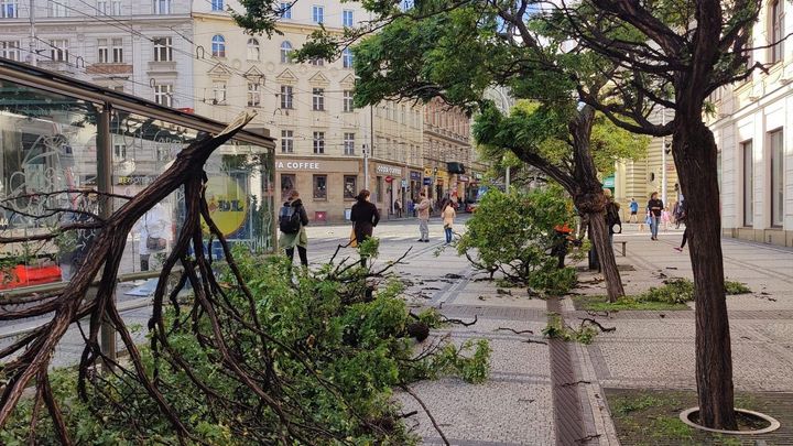 V Česku udeřil silný vítr. Láme stromy a nechává domácnosti bez proudu; Zdroj foto: Diego Tena