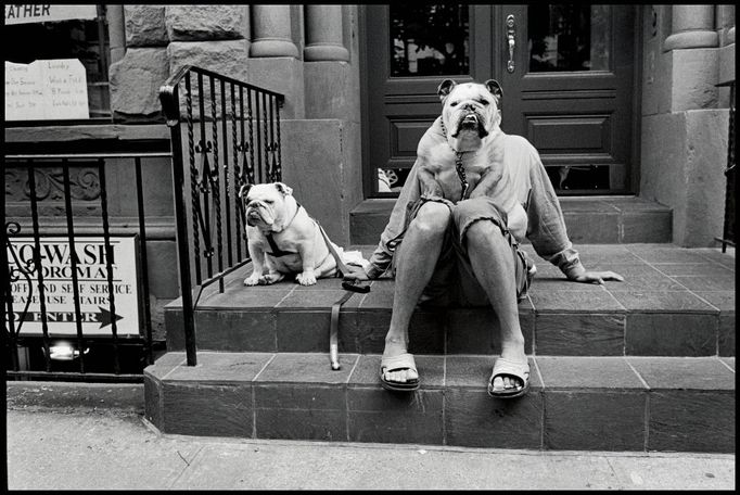 Elliott Erwitt: USA, New York City, 2000