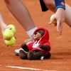 A ball boy picks up a teddy bear thrown on the court to support Eugenie Bouchard of Canada after she won her women's quarter-final match against Carla Suarez Navarro of Spain at the French Open Tennis