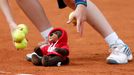 A ball boy picks up a teddy bear thrown on the court to support Eugenie Bouchard of Canada after she won her women's quarter-final match against Carla Suarez Navarro of S