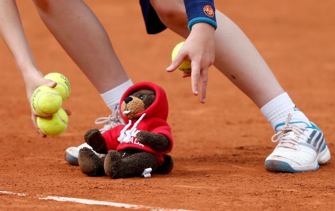 A ball boy picks up a teddy bear thrown on the court to support Eugenie Bouchard of Canada after she won her women's quarter-final match against Carla Suarez Navarro of S