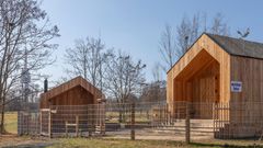 lesní školka, školka, Žižkov, Praha, stavba, architektura