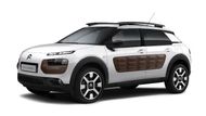 Tvary městského SUV Citroën C4 Cactus uchvátily porotu natolik, že mu přidělila titul Světové designové auto roku.