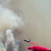 Fotogalerie / Lesní požár v Kalifornii / ČTK / 14