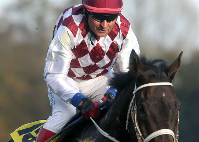 Velká pardubická 2015: Tiumen (Josef Váňa)