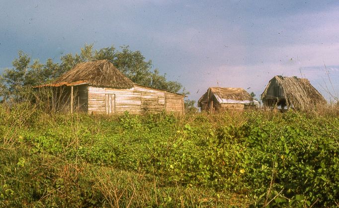 Fotografie Kuby, kterou pořídil Petr Levínský během pobytového zájezdu, jenž organizovala tehdejší Cestovní kancelář mládeže na jaře v roce 1989.