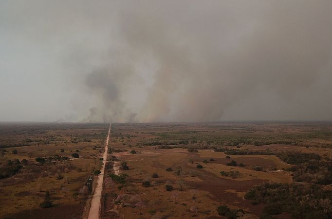 V Brazílii hoří největší mokřad světa Pantanal.