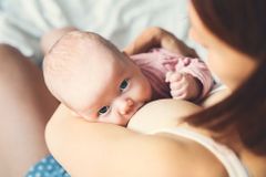 Věčné chemikálie jsou už v mateřském mléce, toxické látky pronikají i do placenty