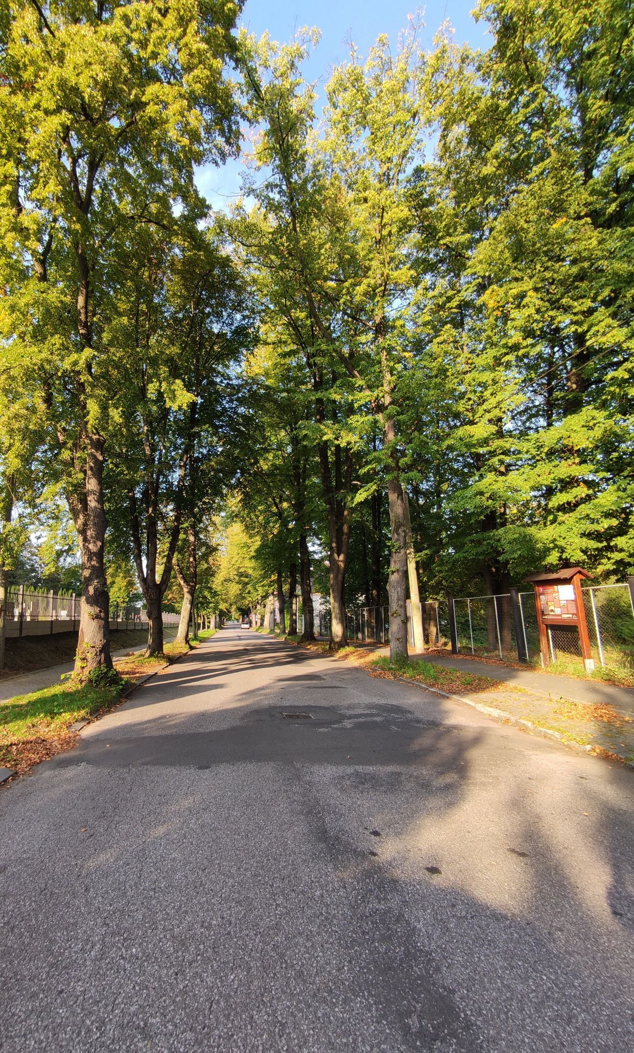 Soutěžní snímky Alej roku 2022