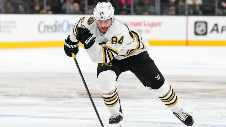 Dynamo má další velkou posilu. Útočník dal před NHL přednost české extralize; Zdroj foto: Reuters