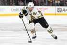 Dynamo má další velkou posilu. Útočník dal před NHL přednost české extralize