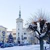 Vánoční strom, Česko, Vánoce, Domácí