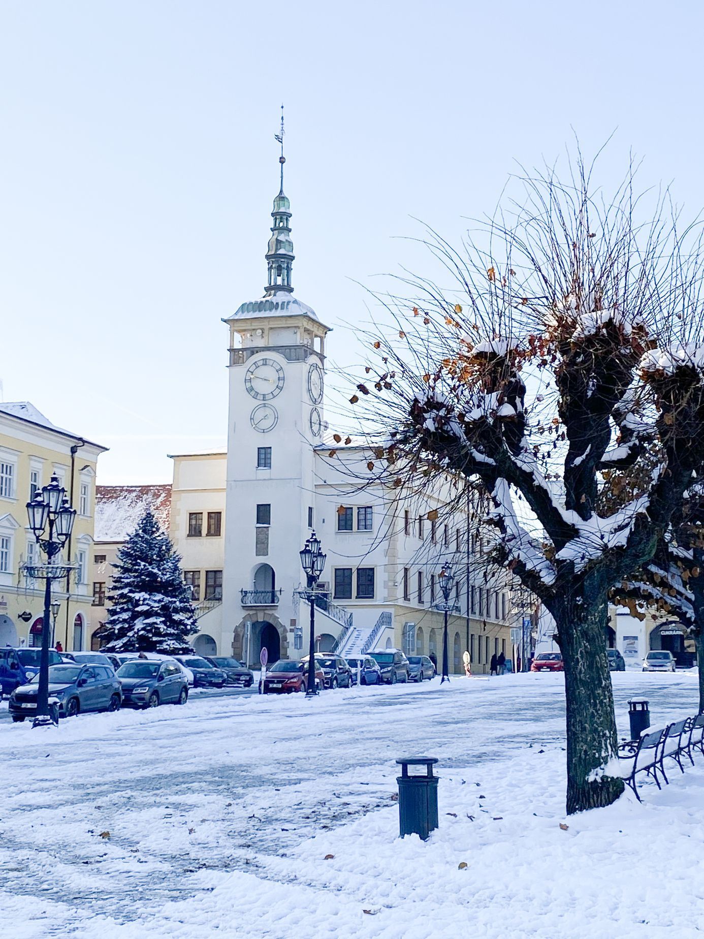 Vánoční strom, Česko, Vánoce, Domácí