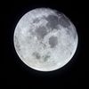 Měsíc vyfocený posádkou Apolla 11