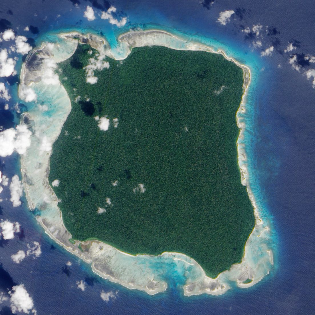 Sentinel island Andaman / NASA