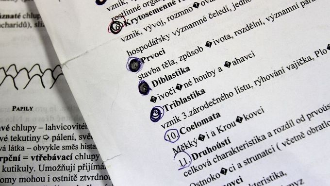 Dopoledne píší studenti test z českého jazyka v lehčí verzi a slohovou práci. Ilustrační foto.