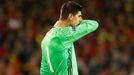 Euro 2016, Wales-Belgie: Thibaut Courtois