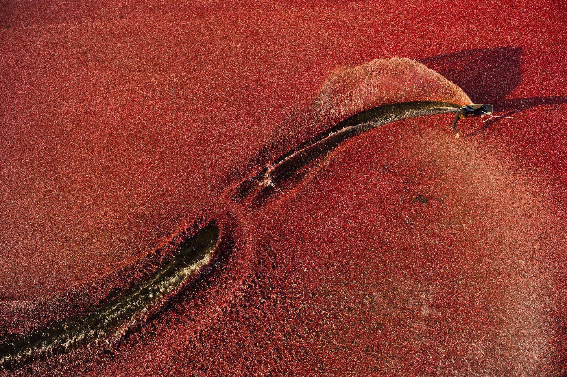 Těšíte se na jaro? Nejlepší jarní sportovní fotografie podle editorů Red Bullu