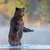 Wildlife Photographer of the Year 2023. Snímky nominované na cenu veřejnosti People Choice Award