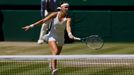 Wimbledon 2014, semifinále: Lucie Šafářová