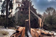 Vichr v Česku: Stromy padaly na domy i auta