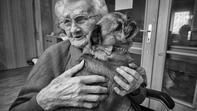 Canisterapie aneb když psi pomáhají léčit. Fotozápisník Jana Jirkovského