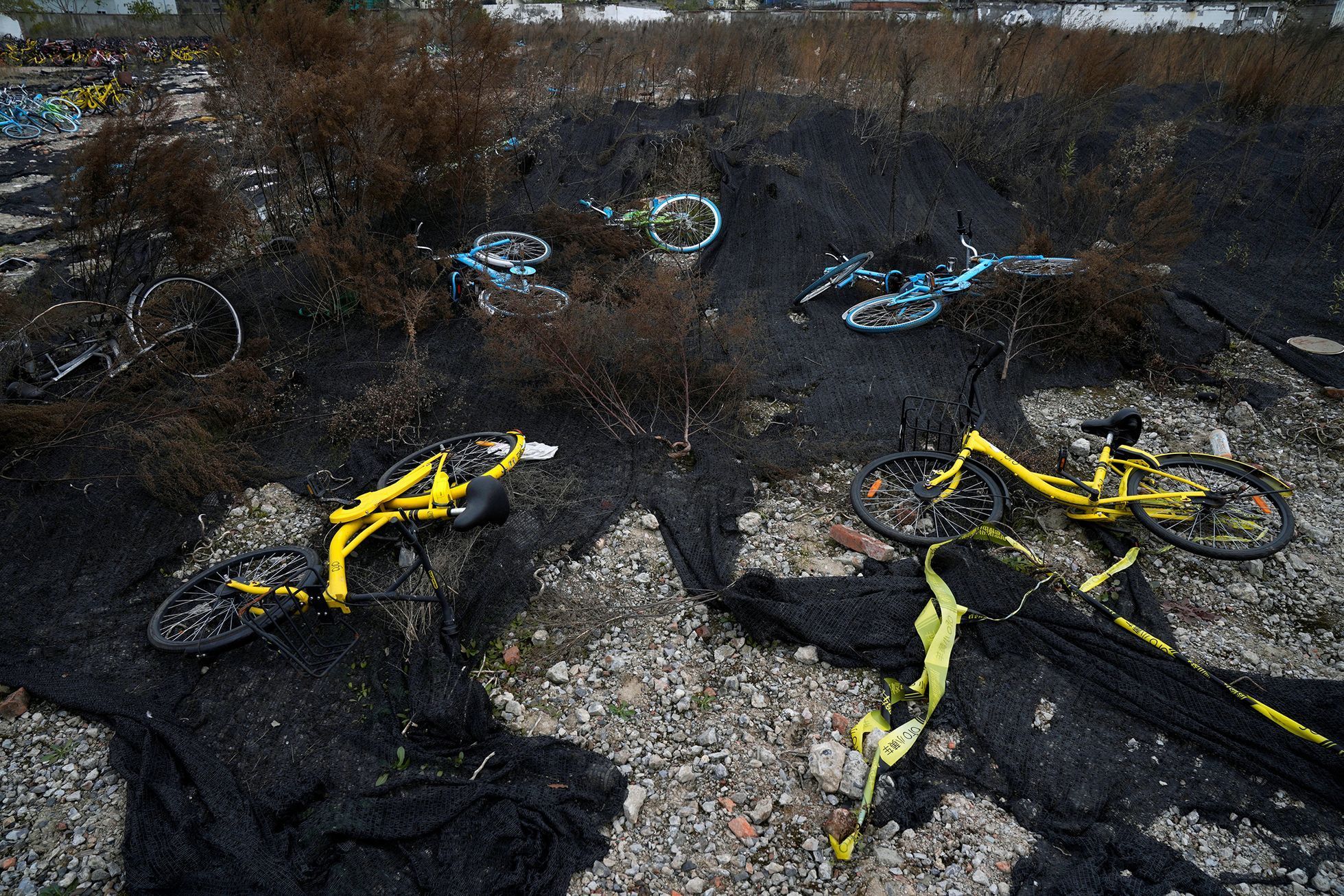 Fotogalerie / Hřbitov jízdních kol v Šanghaji / Čína / Reuters / 12