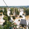 Zoo praha povodně 2002