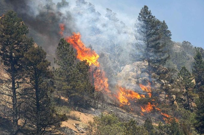 Trees burn in the Waldo Canyon fire west of Colorado Springs, Colorado June 26, 2012. A fast-growing wildfire in Colorado forced 11,000 people from their homes at least briefly and threatened popular summer camping grounds beneath Pikes Peak, whose vistas helped inspire the patriotic tune "America the Beautiful." REUTERS/Rick Wilking (UNITED STATES - Tags: DISASTER ENVIRONMENT) Published: Čer. 26, 2012, 9:58 odp.