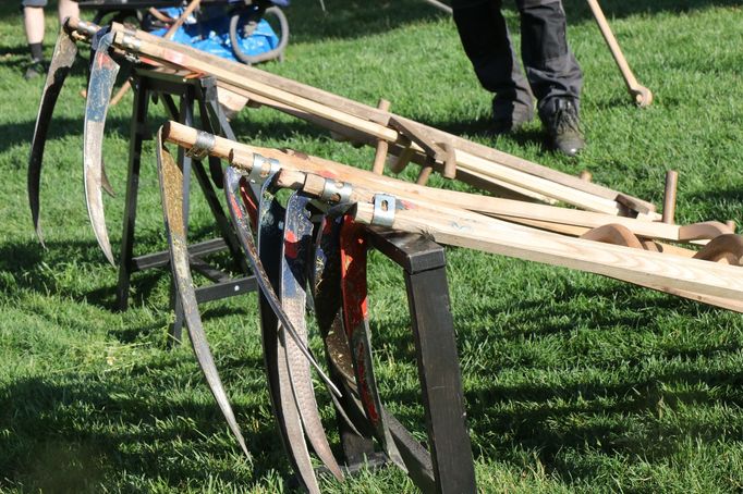 Řada lidí přišla do Stromovky už s vlastní kosou. Kdo ji neměl, pro toho připravily Lesy hl. m. Prahy dvacítku "služebních" kos.