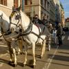 Protest fiakristů v Praze objektivem Richarda Horáka