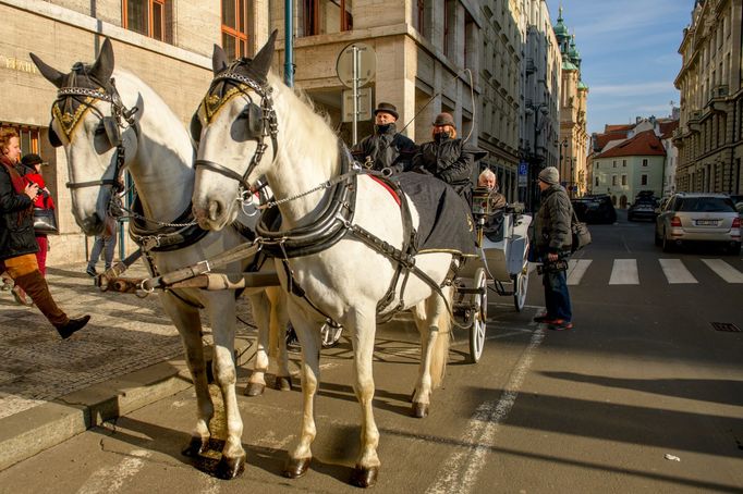 Protest fiakristů v Praze objektivem Richarda Horáka