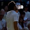 Wimbledon 2015: Marin Čilič