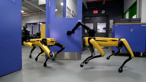 VIDEO: Robotický pes od Boston Dynamics si sám dokáže otevřít dveře